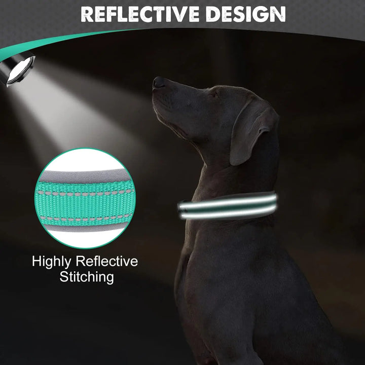 Neoprene Collars comfort and style for your Pet